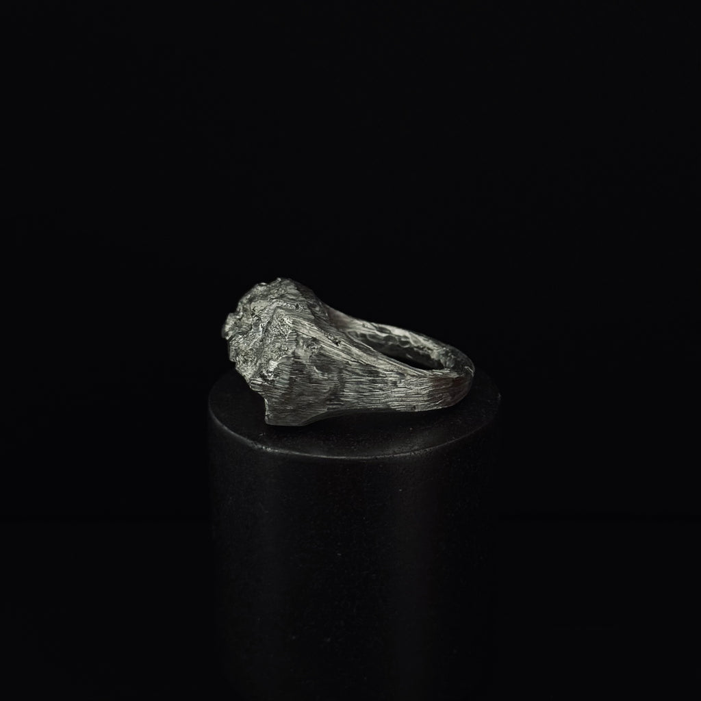 Meteor