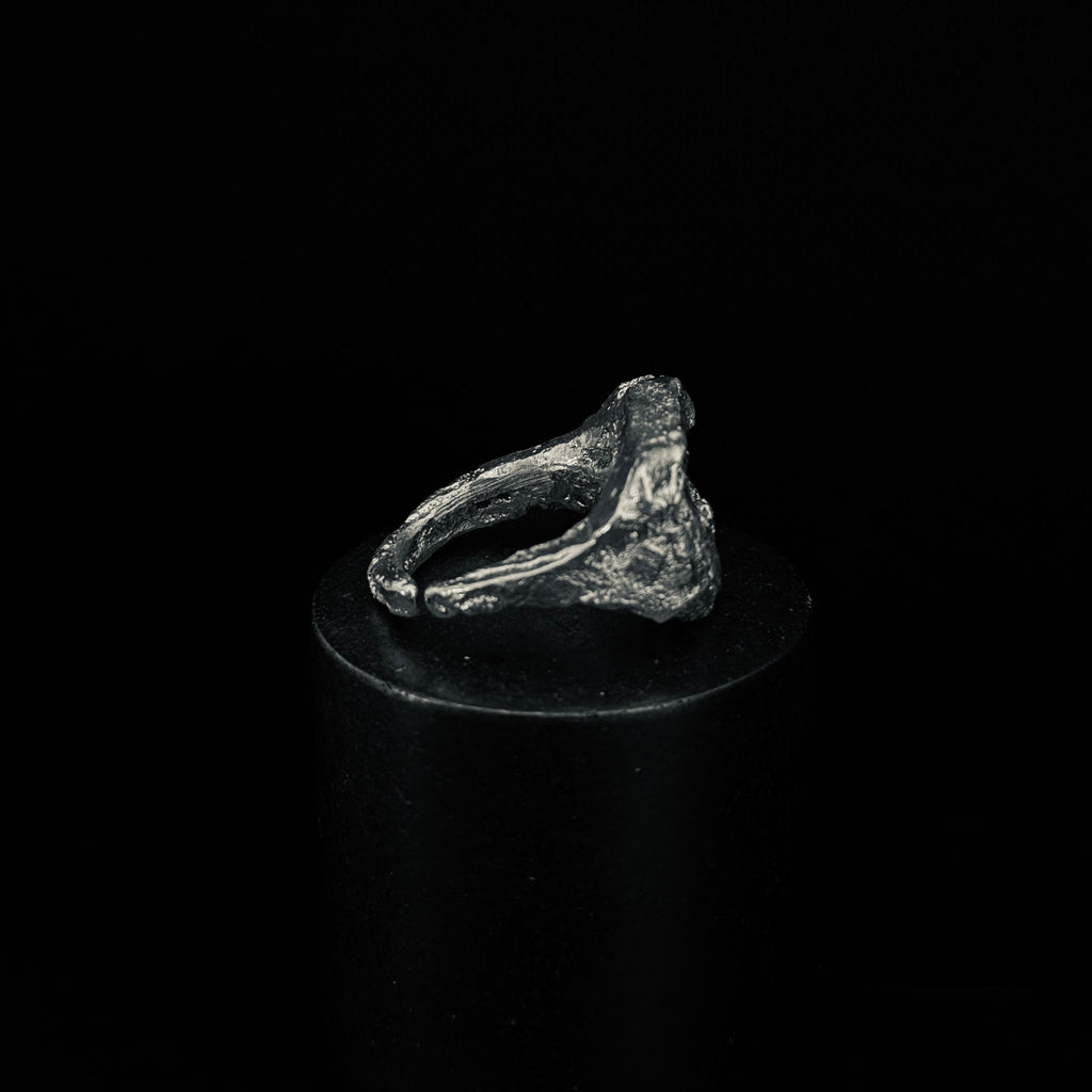 Moon stone
